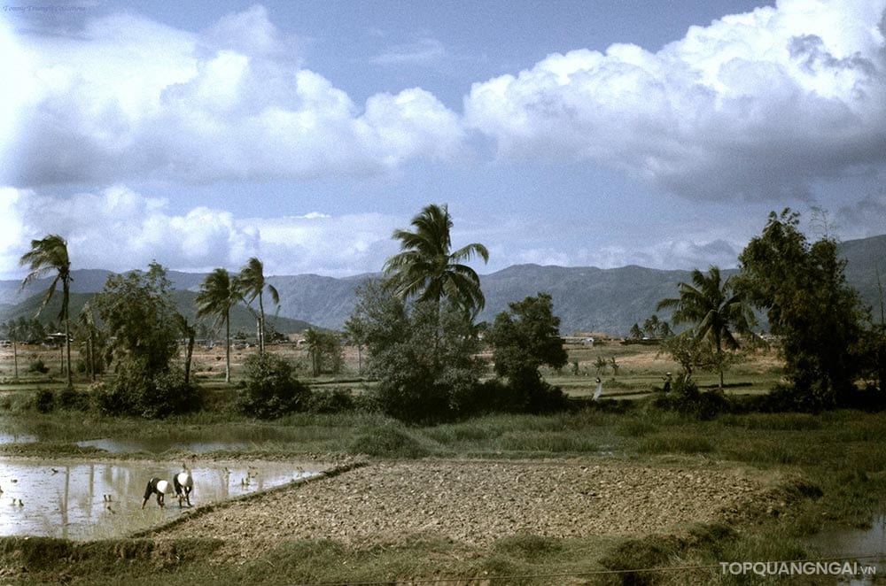 Bộ sưu tập hình ảnh đẹp về Quảng Ngãi năm 1967 Bộ sưu tập hình ảnh đẹp về Quảng Ngãi năm 1967
