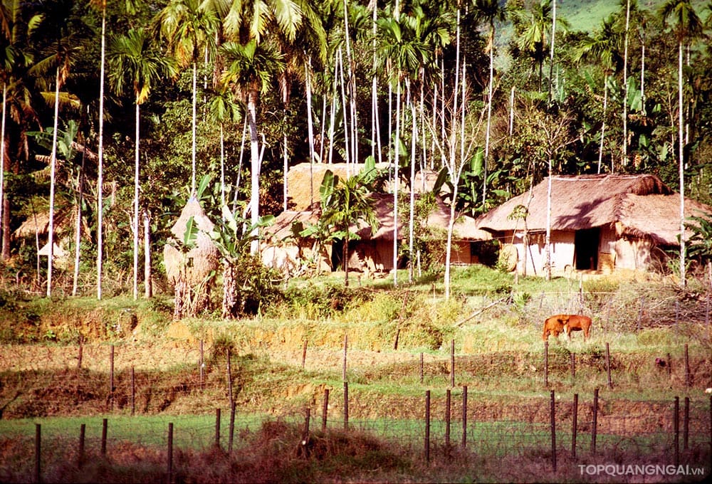 Bộ sưu tập hình ảnh đẹp về Quảng Ngãi năm 1967 Bộ sưu tập hình ảnh đẹp về Quảng Ngãi năm 1967