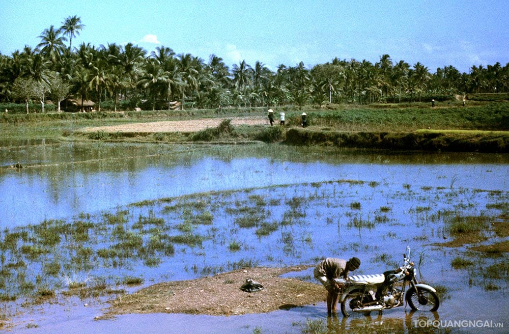 Bộ sưu tập hình ảnh đẹp về Quảng Ngãi năm 1967 Bộ sưu tập hình ảnh đẹp về Quảng Ngãi năm 1967