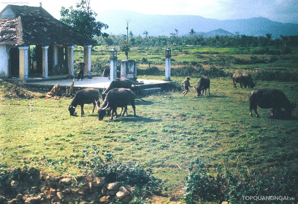 Bộ sưu tập hình ảnh đẹp về Quảng Ngãi năm 1967