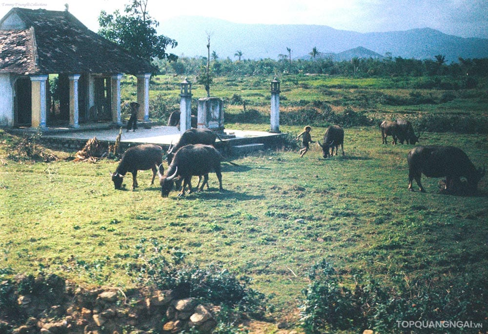 Bộ sưu tập hình ảnh đẹp về Quảng Ngãi năm 1967 Bộ sưu tập hình ảnh đẹp về Quảng Ngãi năm 1967