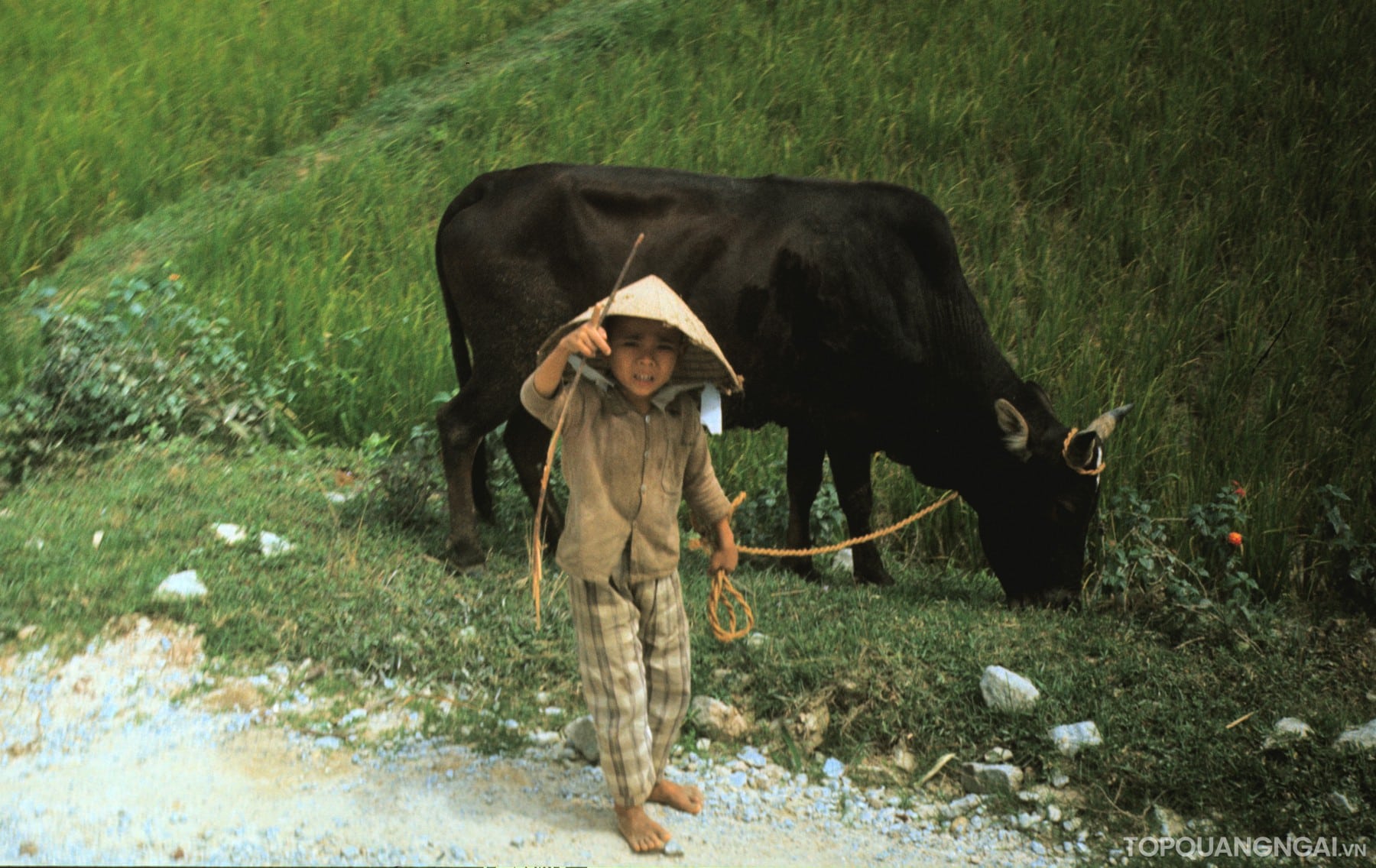 Bộ sưu tập hình ảnh đẹp về Quảng Ngãi năm 1967 Bộ sưu tập hình ảnh đẹp về Quảng Ngãi năm 1967