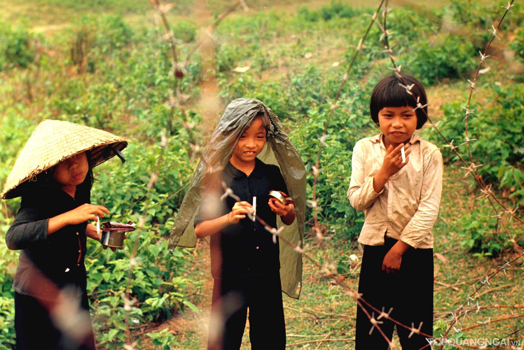 Bộ sưu tập hình ảnh đẹp về Quảng Ngãi năm 1967 Bộ sưu tập hình ảnh đẹp về Quảng Ngãi năm 1967