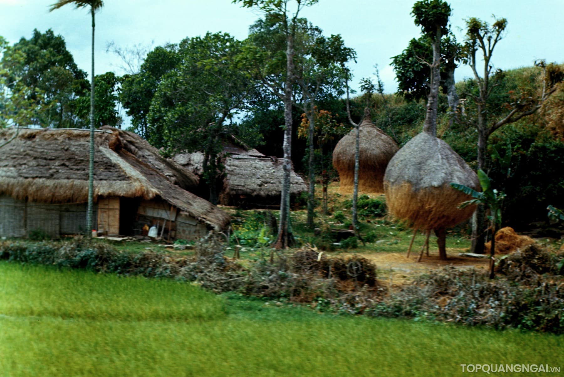 Bộ sưu tập hình ảnh đẹp về Quảng Ngãi năm 1967 Bộ sưu tập hình ảnh đẹp về Quảng Ngãi năm 1967