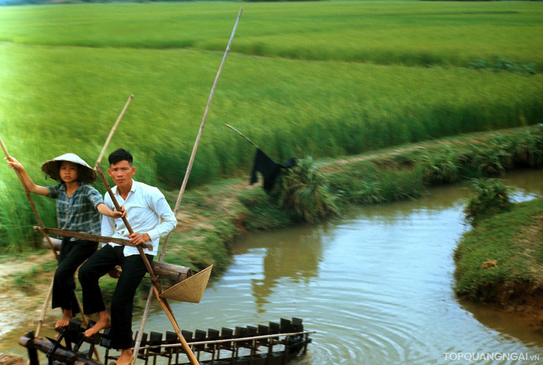 Bộ sưu tập hình ảnh đẹp về Quảng Ngãi năm 1967 Bộ sưu tập hình ảnh đẹp về Quảng Ngãi năm 1967