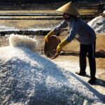Sa Huỳnh Quảng Ngãi – 1 cánh đồng muối nổi tiếng ở miền Trung