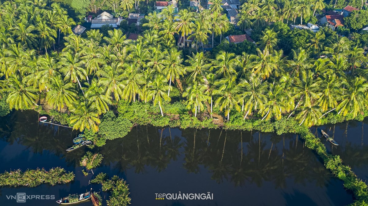 Rừng dừa nước Tịnh Khê Quảng Ngãi: Điểm du lịch lý tưởng HOT nhất hiện nay