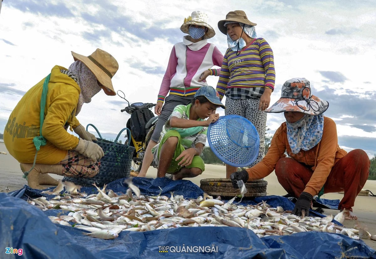 Nghề kéo lưới rùng Quảng Ngãi trên bãi biển Mỹ Khê Nghề kéo lưới rùng Quảng Ngãi trên bãi biển Mỹ Khê