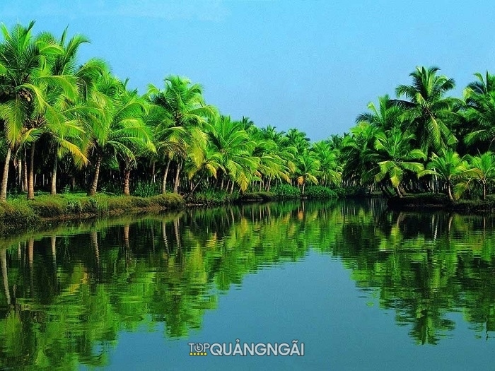 Rừng dừa nước Tịnh Khê Quảng Ngãi: Điểm du lịch lý tưởng HOT nhất hiện nay