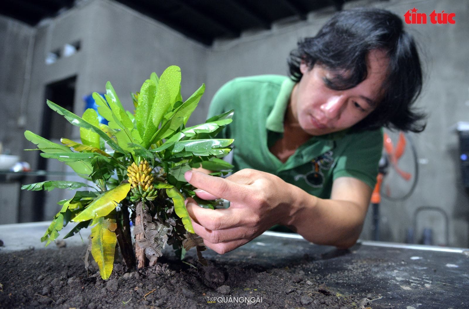 Độc đáo vườn cây giả như thật của anh phụ hồ Quảng Ngãi Độc đáo vườn cây giả như thật của anh phụ hồ Quảng Ngãi