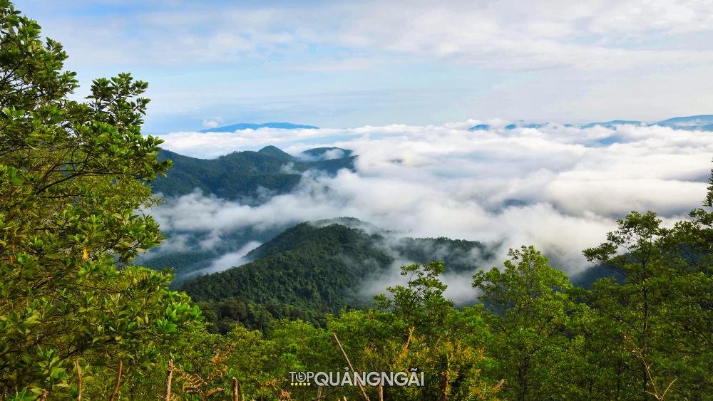 Chiêm ngưỡng vẻ đẹp mê hồn của Thảo nguyên Bùi Hui - Ba Tơ - Quảng Ngãi