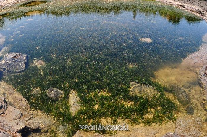 Dấu tích miệng núi lửa cổ ở Ba Làng An - Quảng Ngãi