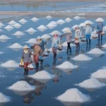 dong muoi sa huynh 37