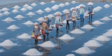 dong muoi sa huynh 37